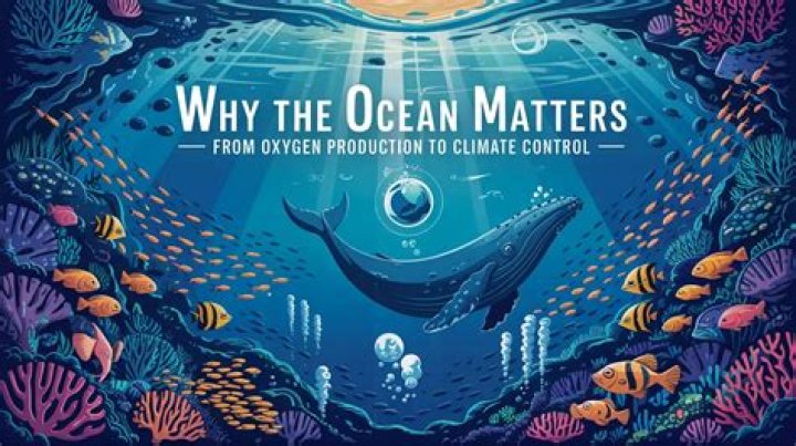 Why do oceans matter?