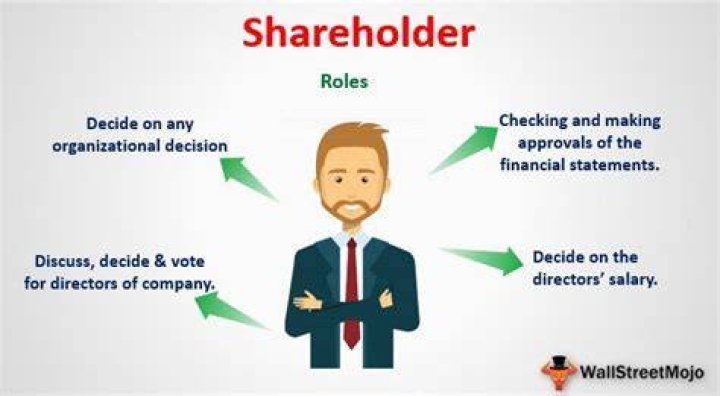 Why do shareholders need financial information?