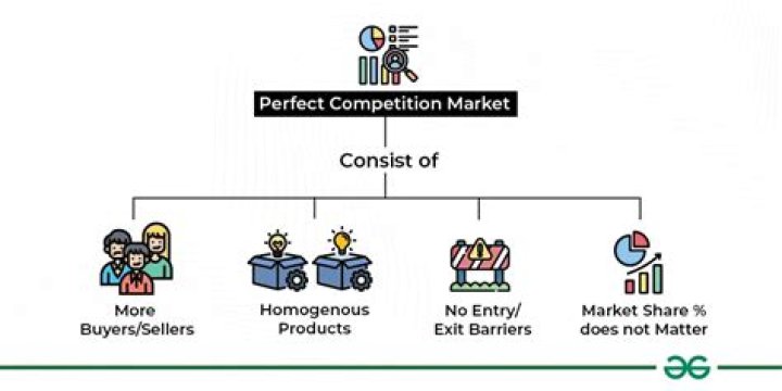 Why does a perfectly competitive market not exist?