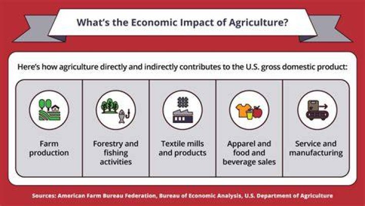 Why does agriculture contribute to less wage employment?