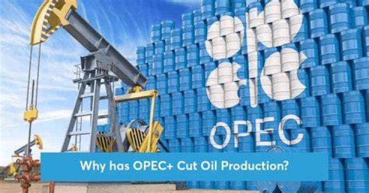 Why does OPEC meet?