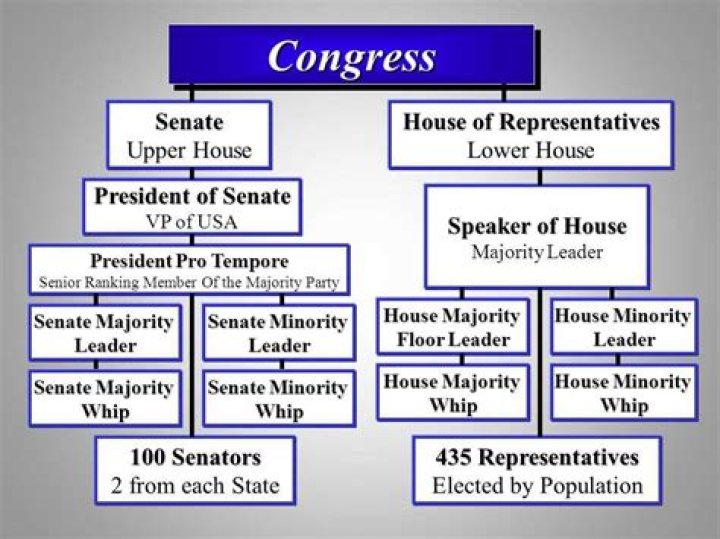 Why does the US Constitution limit the powers of Congress?
