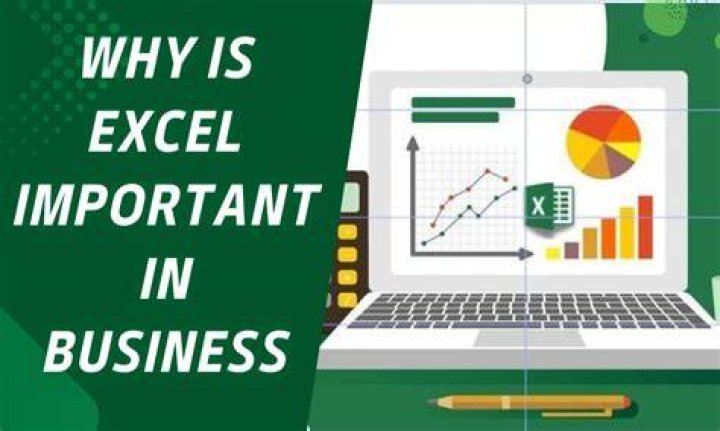 Why Excel is used in the business environment?