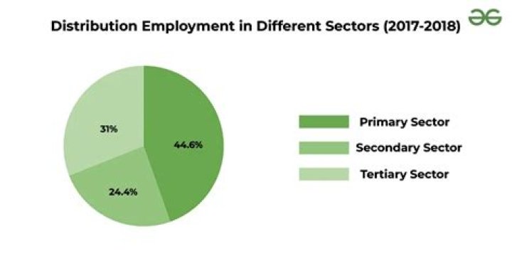 Why has the workforce shown a decline in the primary sector?