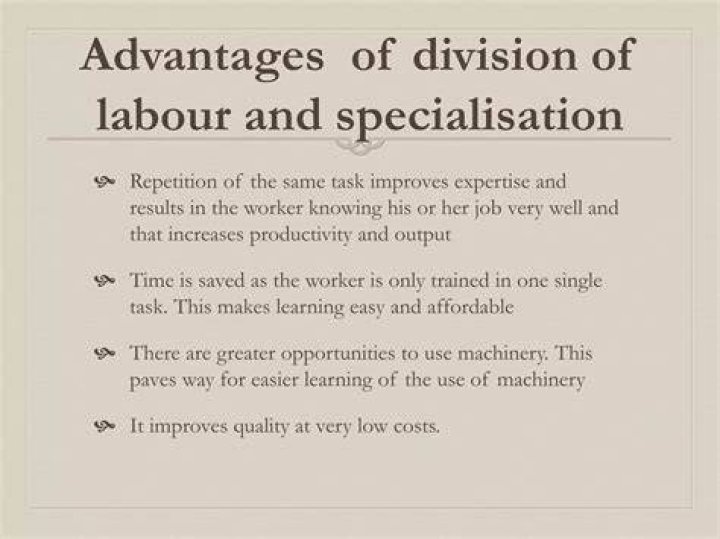 Why is division of labor and specialization important?