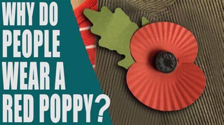 Why is everyone wearing a red poppy?