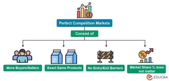 Why is it impossible for a single seller to influence the price of a product in a perfect market?