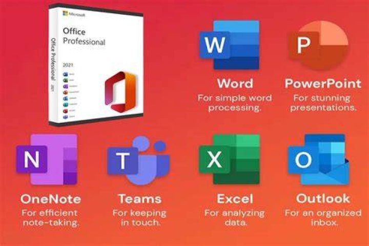 Why is Microsoft Office so popular?