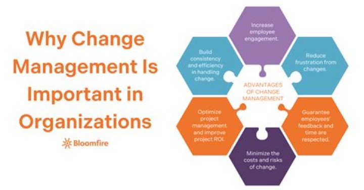 Why is organization important in the workplace?