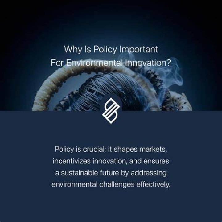 Why is policy important in business?