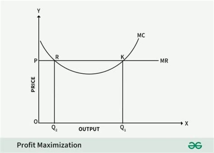 Why is profit Maximisation the most important objective?