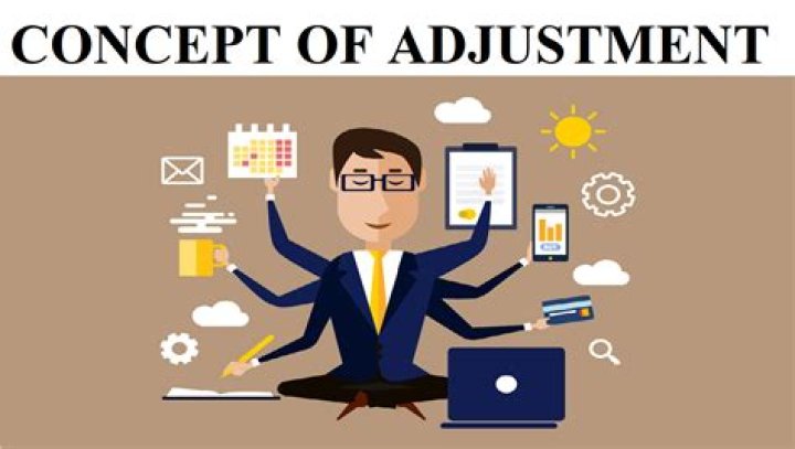 Why is the adjustment process necessary?