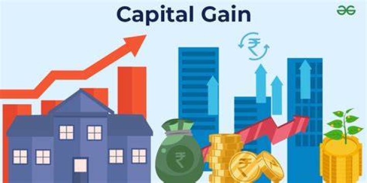 Why might a large corporation want to raise long term capital through a private placement rather than a public offering?