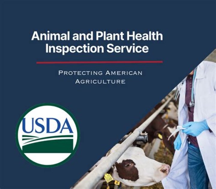 Why was the Animal and Plant Health Inspection Service created?