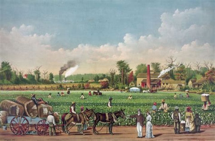 Why were plantations so successful?